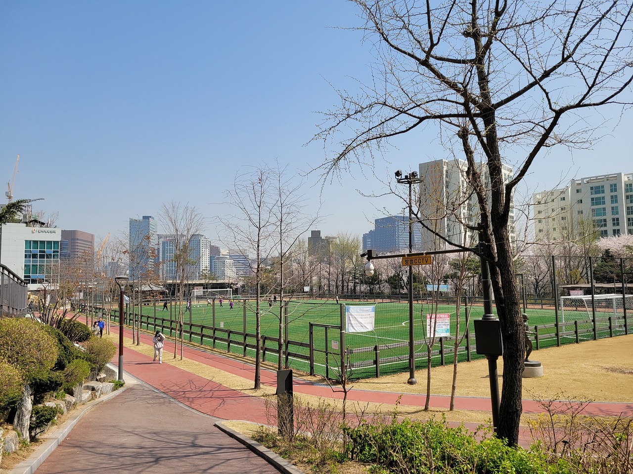 大自然的精 大自然的精