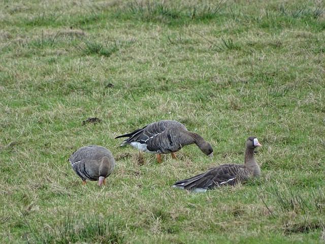 智慧在数据 智慧在数据